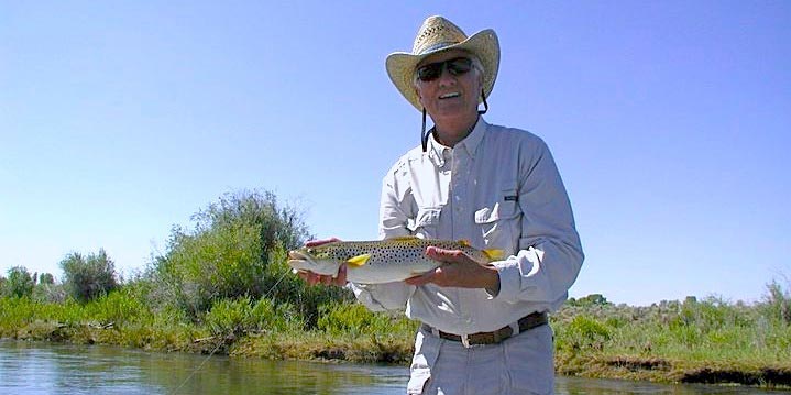 yellowstone wildlife tours