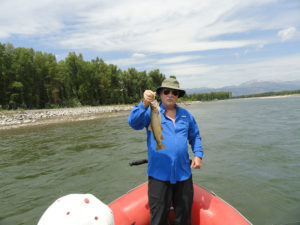 Jackson hole fly fishing