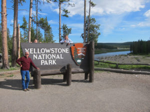 yellowstone guided tours