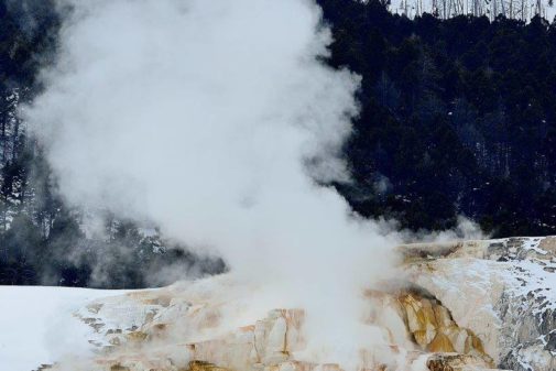 yellowstone winter tours