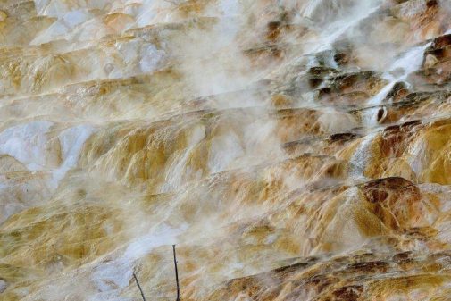 yellowstone winter tours