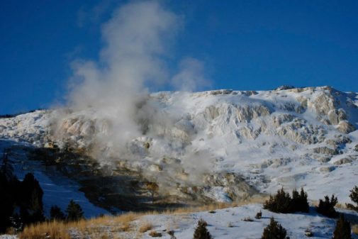 yellowstone winter tours