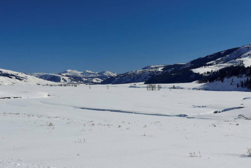 yellowstone winter tours