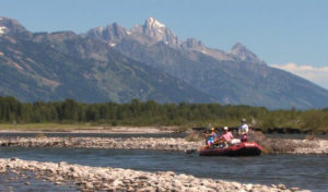 yellowstone guided tours