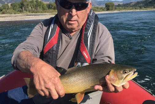 Guided Jackson Hole Fly Fishing